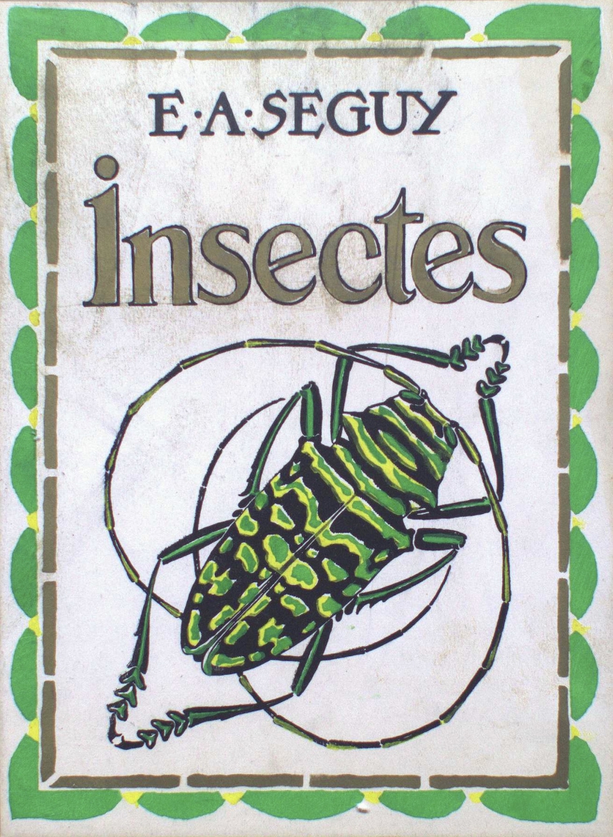 E.A. SEGUY insectes