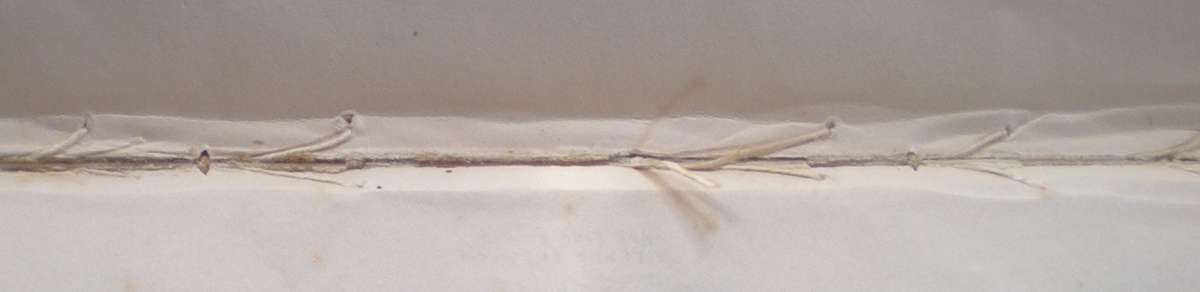 No visible text; close-up of a beige fabric with frayed edges and small loose threads.