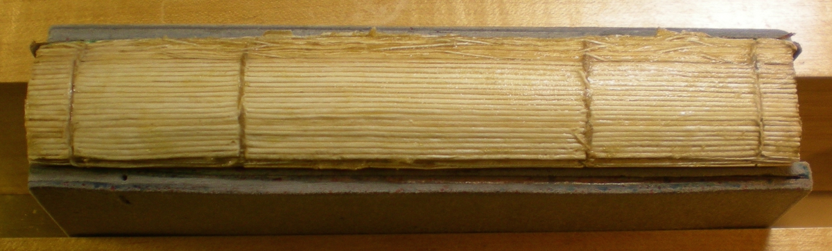 Spine of a worn, old book with visible stitching along the binding.