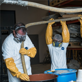 ROM research technicians work with two ROM Biodiversity volunteers to drain the last of the formalin from the heart tank.

