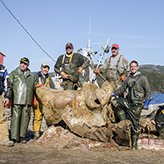 Workers and the whale
