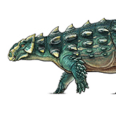 A colour illustration of a long, thin dinosaur with green, armoured skin
