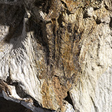 Photo of Zuul's tail
