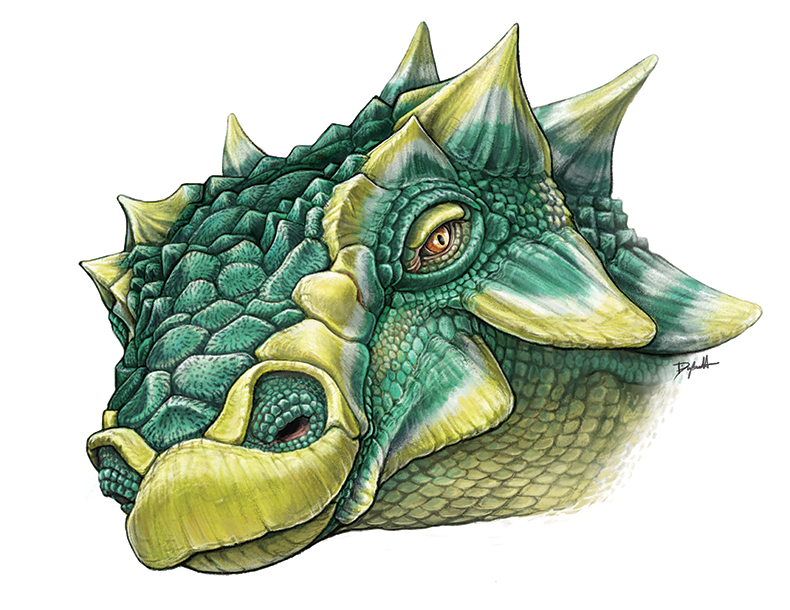 Illustration of Zuul's head