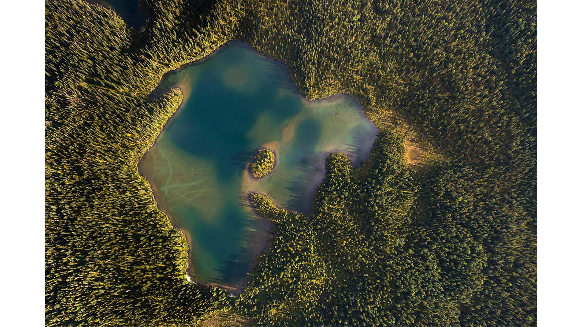 Aerial view of a lake surrounded by dense green forest with an irregular shoreline.