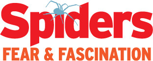 Spiders:  Fear & Fascination
