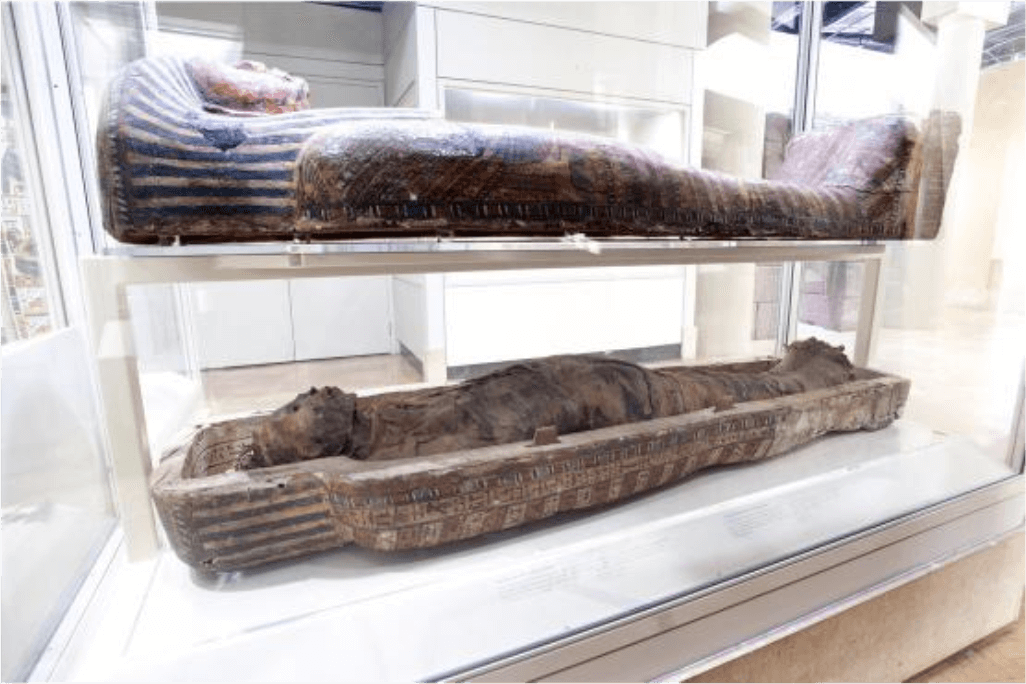 Mummy of Antjau, c. 664–600 BCE, ROM 910.12.C.