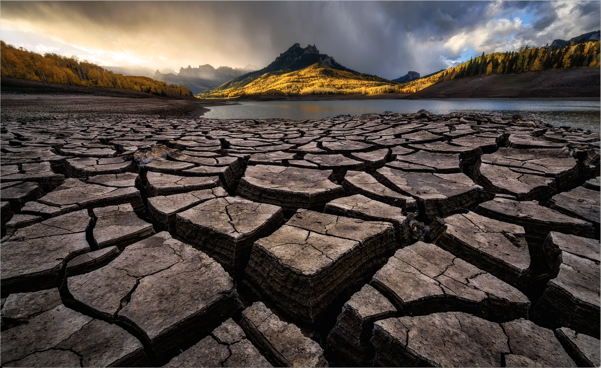 Photographe de la vie sauvage de l'année 2020