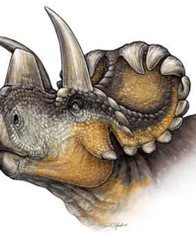 Reconstruction de la vie de Wendiceratops pinhornenis. Crédit : Danielle Dufault.