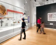 Museum gallery with glass display cases containing artifacts and two visitors walking by.