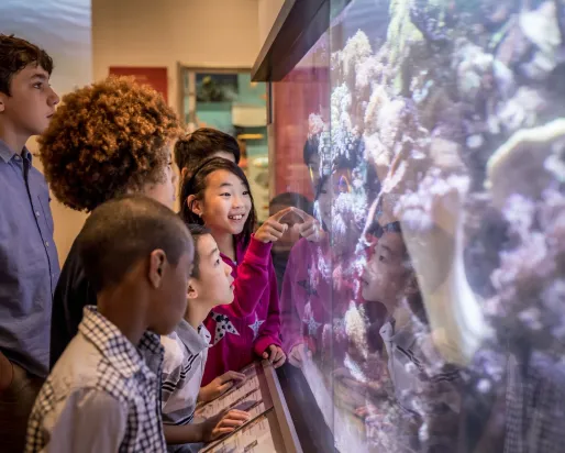 Five children look closely at a large glass display case containing a rock or mineral exhibit.