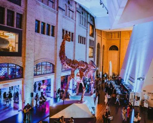 Interior view of a museum hall with visitors, featuring dinosaur skeleton displays and illuminated architectural columns.