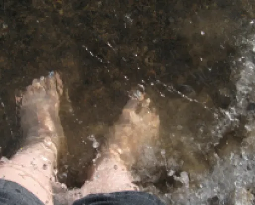 Two bare feet submerged in shallow water with a rocky bottom.