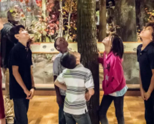 A group of children standing in a circle looking upward inside a museum gallery.