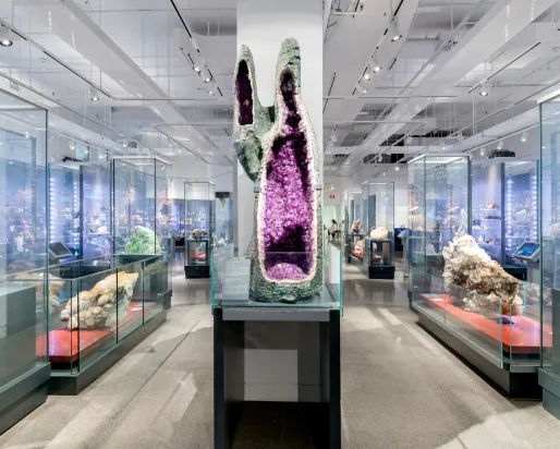 A gallery filled with minerals and gems in the centre there is a very large quartz variety amethyst geode.