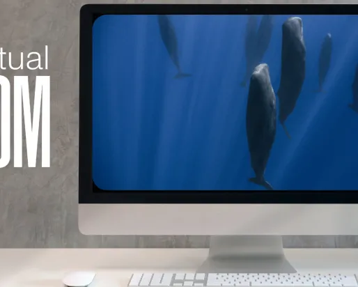 Virtual ROM logo in white text on a grey background with a computer screen showing whales underwater.