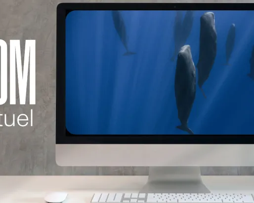 Logo ROM virtuel en texte blanc sur fond gris avec un écran d'ordinateur montrant des baleines sous l'eau.