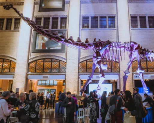 Large dinosaur skeleton exhibit with a long neck surrounded by a crowd of museum visitors indoors.