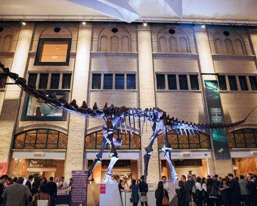 Large dinosaur skeleton displayed in a museum hall with many visitors beneath it.