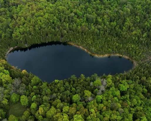View of Crawford Lake from above