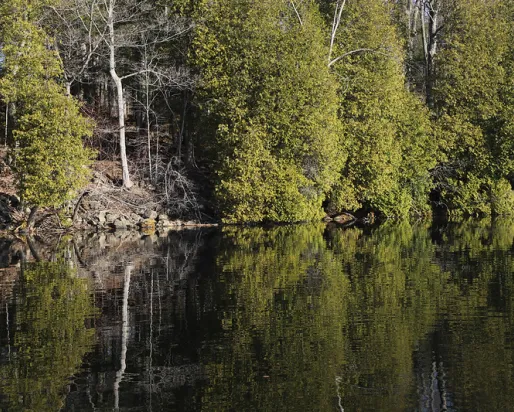 Crawford Lake