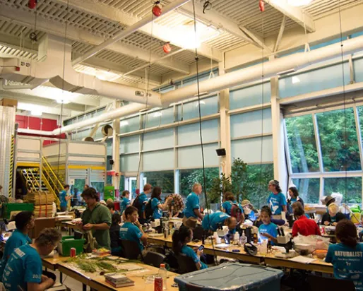 Wide view of the species depot at the 2015 Ontario BioBlitz, where scientists bring back specimens to examine and identify along tables with microscopes and field guides. Photo by Krystal Seedial
