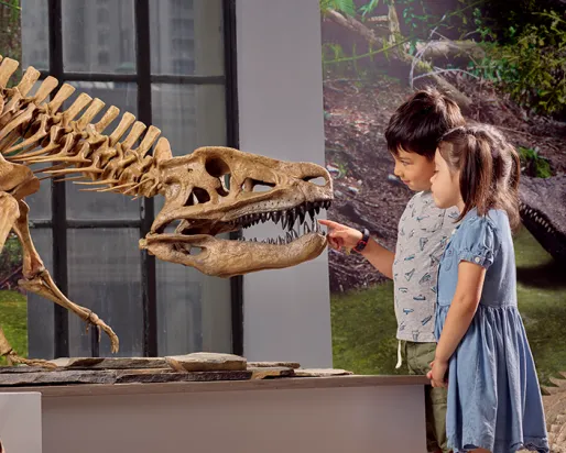 Two children closely observing a large dinosaur skull fossil displayed in a museum exhibit.