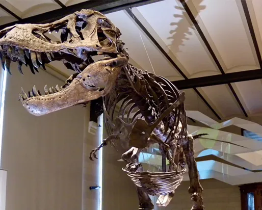 Dinosaure