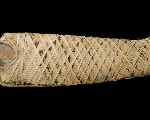 Momie avec insertion d'un panneau de portrait d'un jeune ; 80-100 CE.