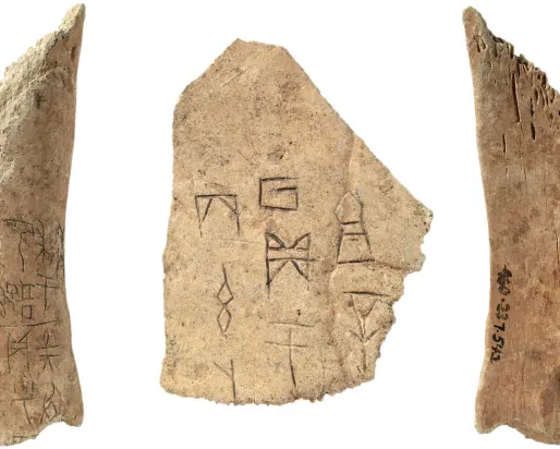 Oracle bones (inscribed bone), Shang Dynasty, China, 1400 - 1050 BCE, (960.237.2225, 960.237.542)
