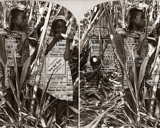 Photographie et texte d'archives imprimés sur un panneau de tissu rétroéclairé.
