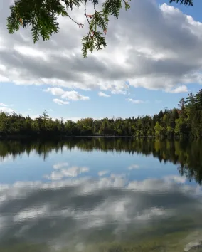 Calm lake reflecting a sky with white clouds, surrounded by dense forest trees on a partly sunny day.