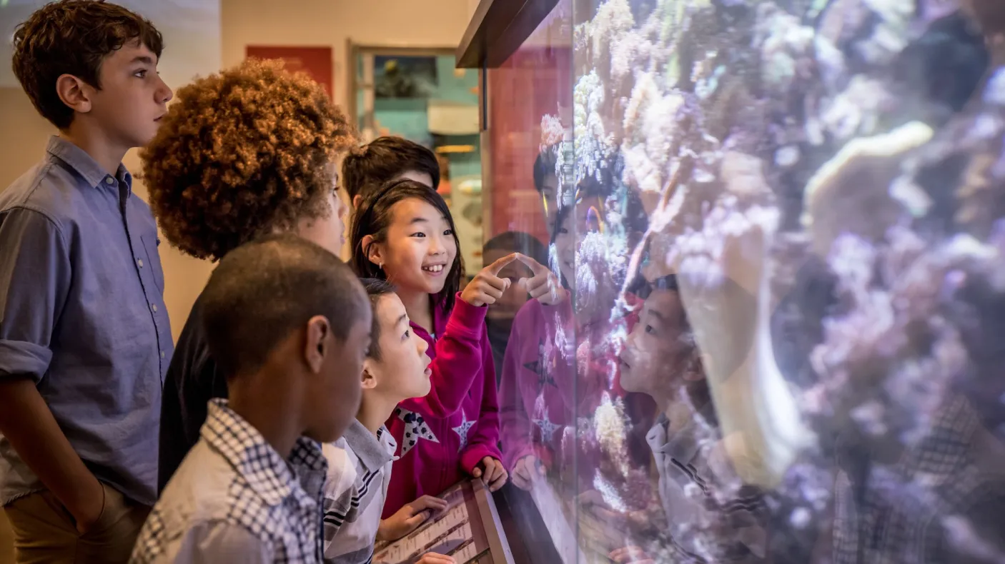 Five children look closely at a large glass display case containing a rock or mineral exhibit.