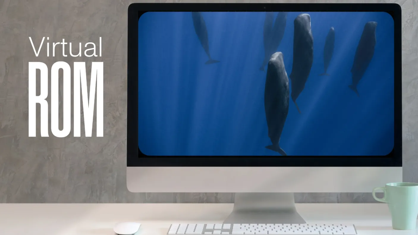 Virtual ROM logo in white text on a grey background with a computer screen showing whales underwater.