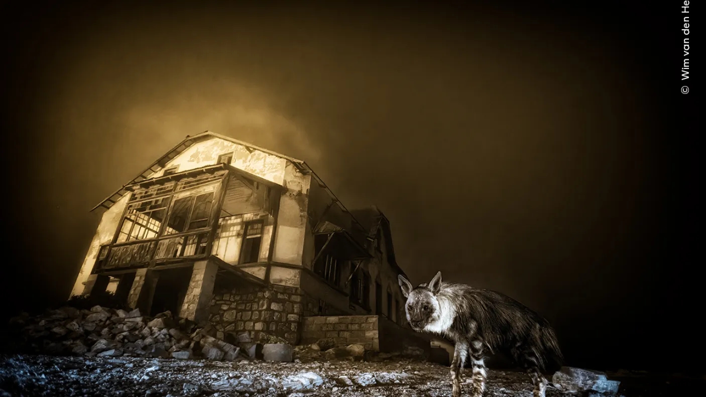Ghost Town Visitor by South Africa’s Wim van den Heever