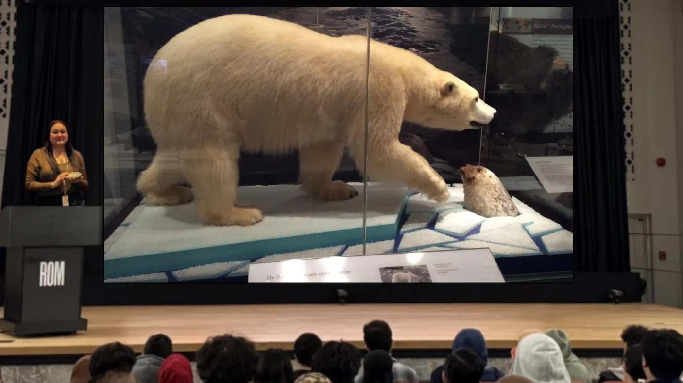 Une femme autochtone souriante se tient sur une scène devant un public, derrière un podium étiqueté ROM. À côté d'elle, un écran affiche l'image d'une vitrine montrant un ours polaire debout sur la glace, à côté d'un trou par lequel un phoque passe la tête.