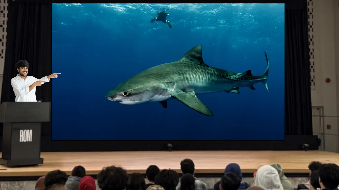 Un homme debout sur la scène, devant un public, pointe du doigt un écran. Sur l'écran, un grand requin nage près de la surface de l'eau. Un plongeur nage en arrière-plan.