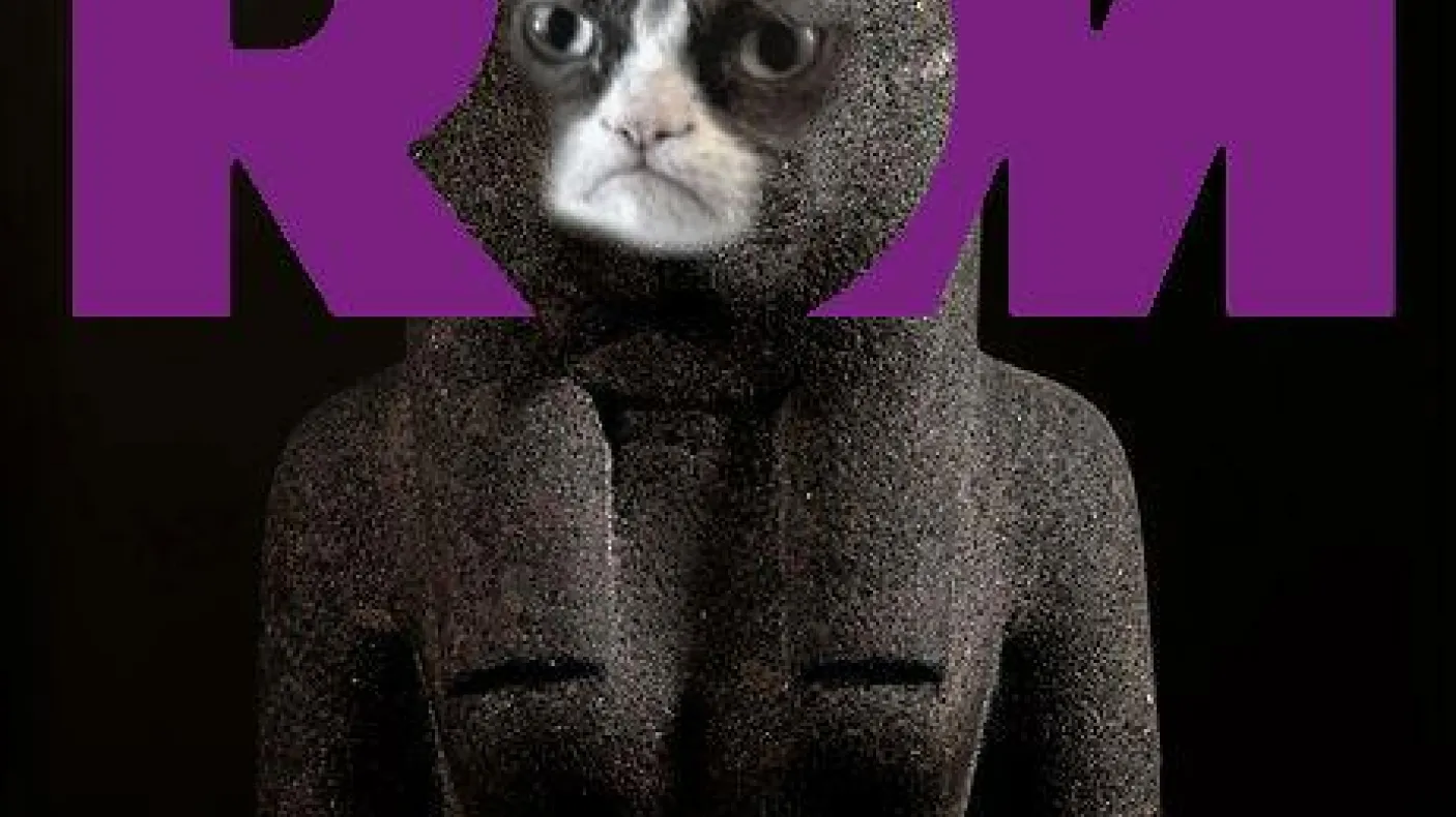 ROM Made a ROM meme... HATED IT!