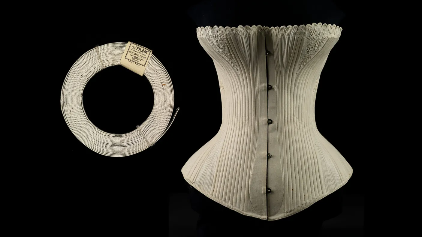 Rouleau de fanon et corset sur fond noir.