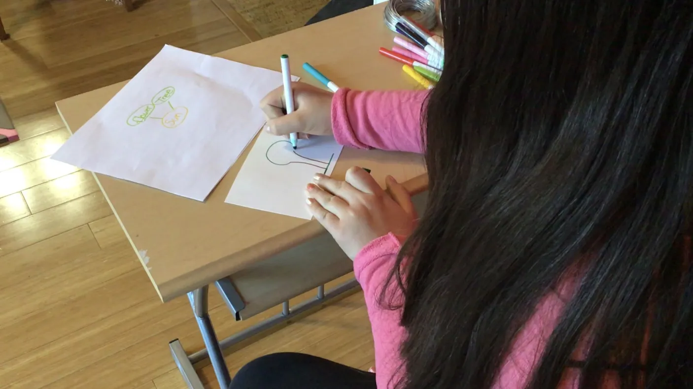 Le dos d'une jeune fille aux longs cheveux noirs qui, assise à un bureau, dessine le contour d'un arbre sur une feuille de papier à l'aide de marqueurs colorés.
