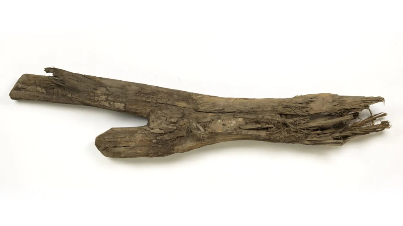 Morceau de bois fourchu.