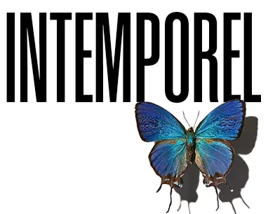 Immortel avec un papillon devant le texte.