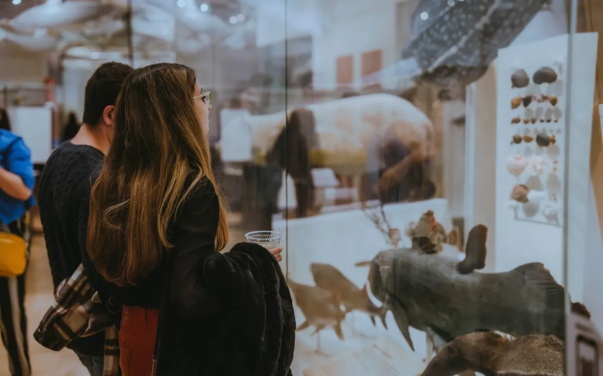 Two people looking at taxidermy animals displayed in glass cases at a museum exhibit.
