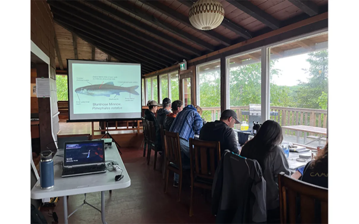 Projection sur écran d'un poisson avec des personnes assises à une table en train de travailler