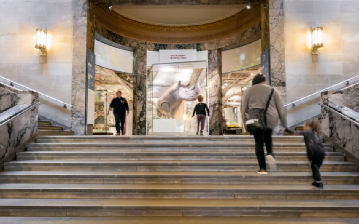 Wide marble staircase inside a grand building with people walking up and down and two ornate wall lamps on either side.