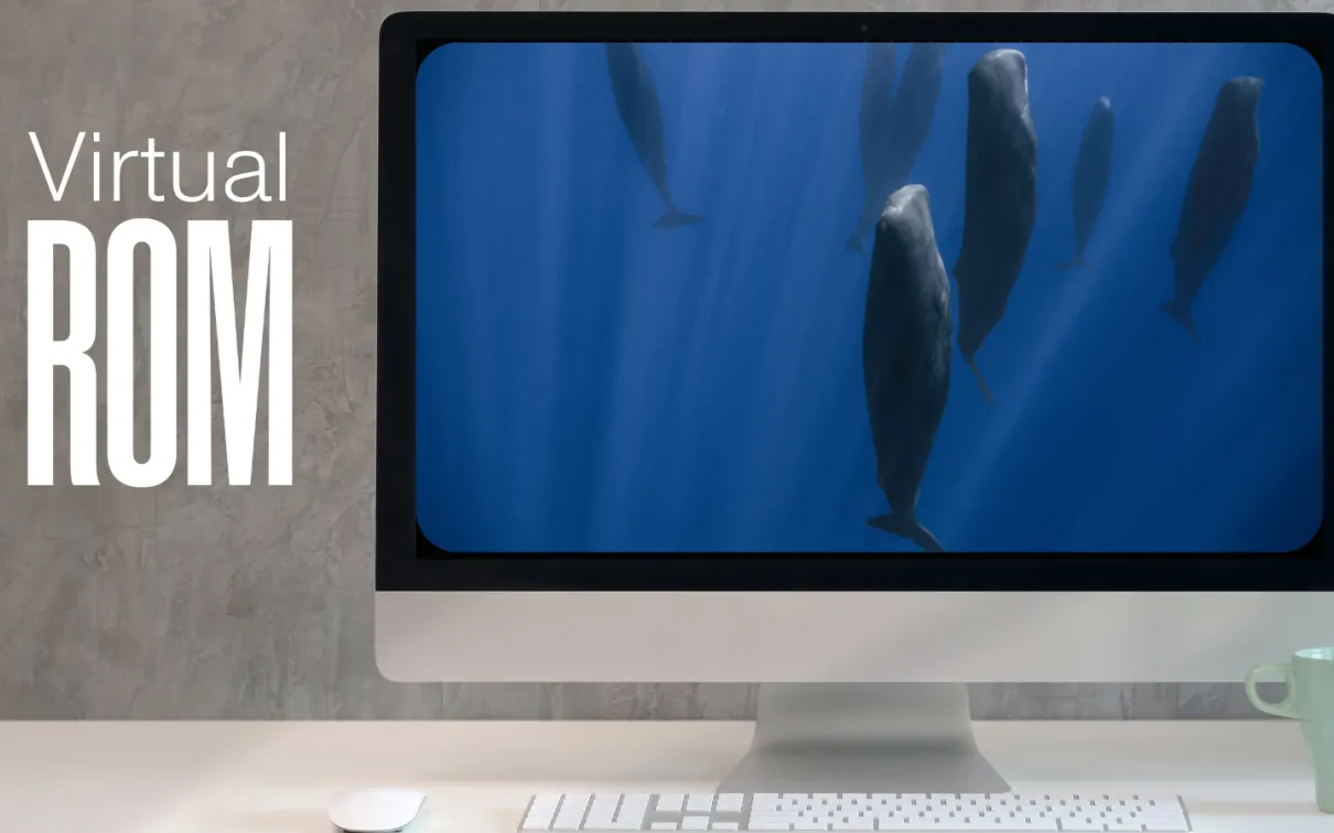 Virtual ROM logo in white text on a grey background with a computer screen showing whales underwater.