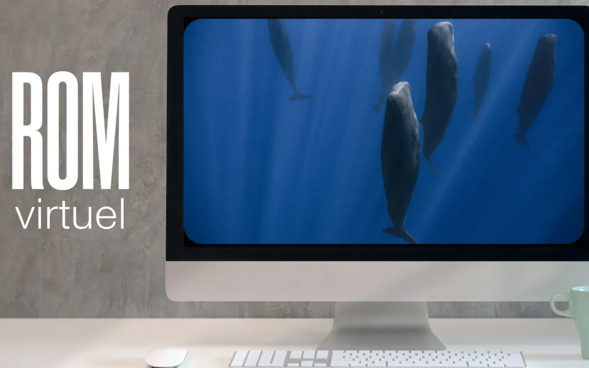 Logo ROM virtuel en texte blanc sur fond gris avec un écran d'ordinateur montrant des baleines sous l'eau.