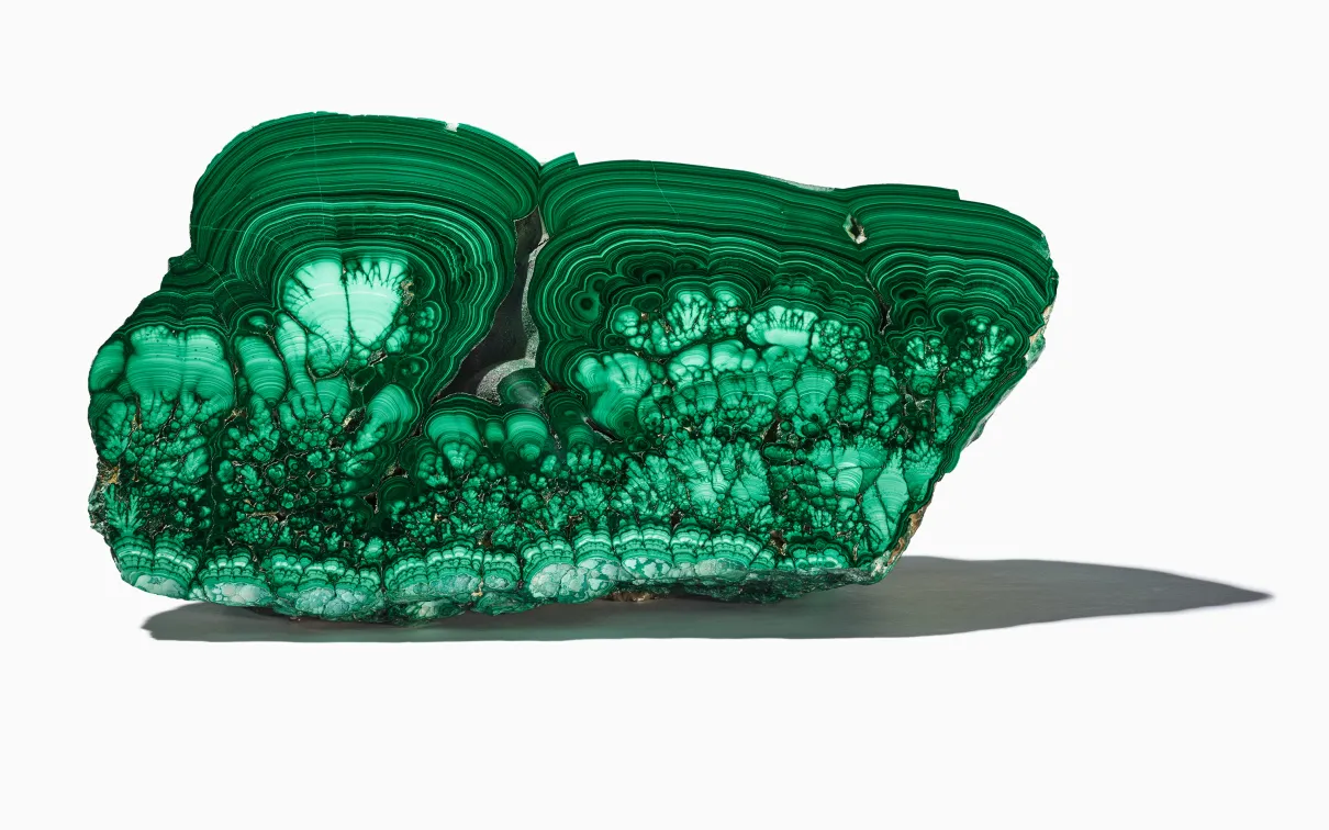 Polished green and dark green malachite mineral specimen casting a shadow on a white surface.