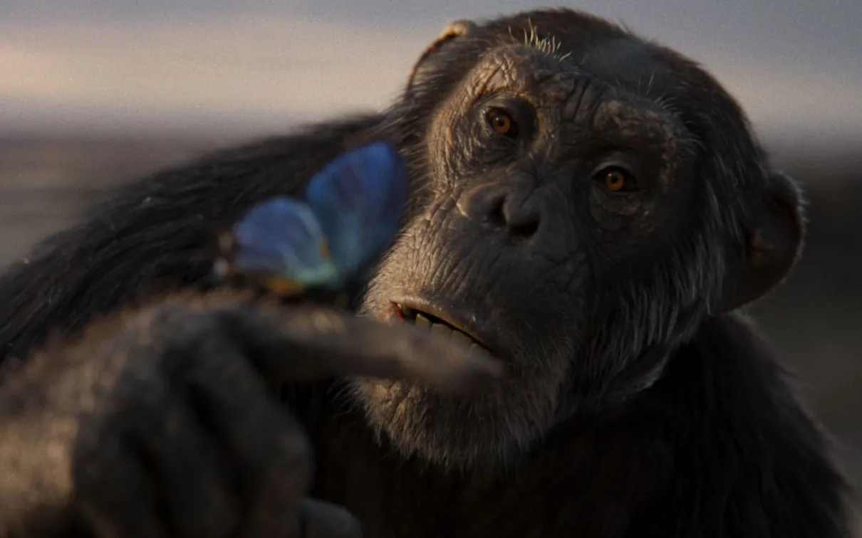 A digitally rendered primate gazes at a blue butterfly perched on its finger.