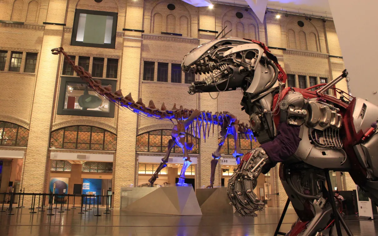 Skeleton of a large dinosaur displayed in a spacious, well-lit museum hall with arched windows and a high ceiling.